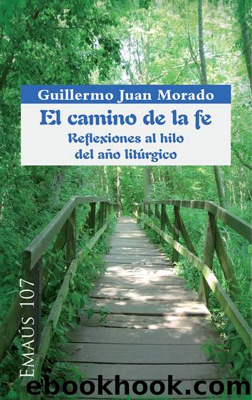 9788498059991 by Guillermo Juan Morado