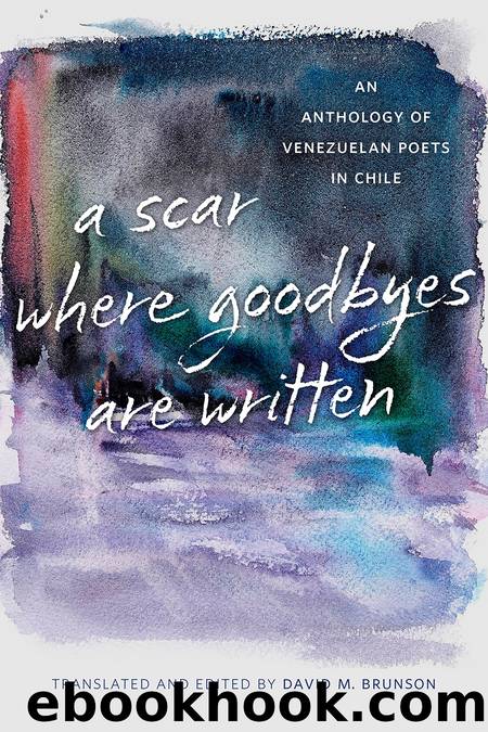 A Scar Where Goodbyes Are Written by David M. Brunson