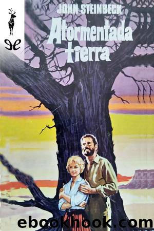 Atormentada tierra by John Steinbeck