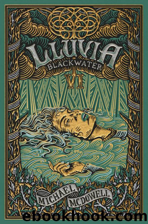 BLACKWATER VI. Lluvia by Michael McDowell