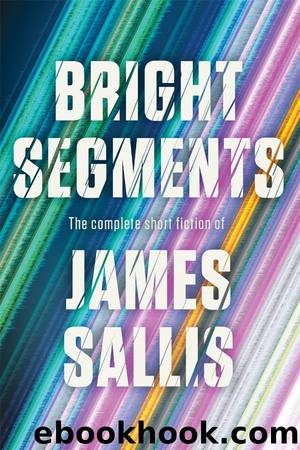 Bright Segments by James Sallis