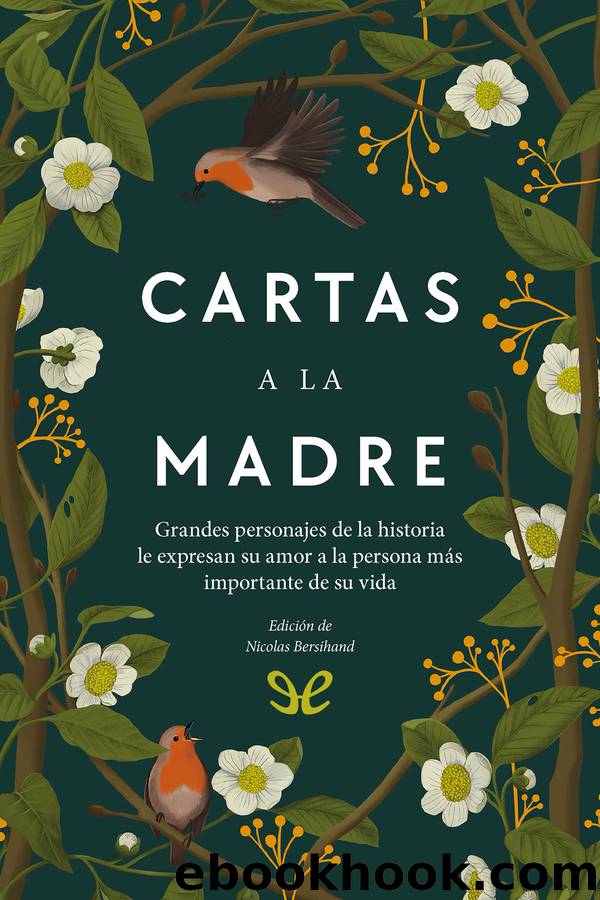 Cartas a la madre by Nicolas Bersihand