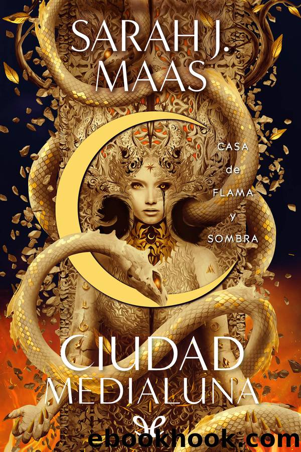 Casa de flama y sombra by Sarah J. Maas