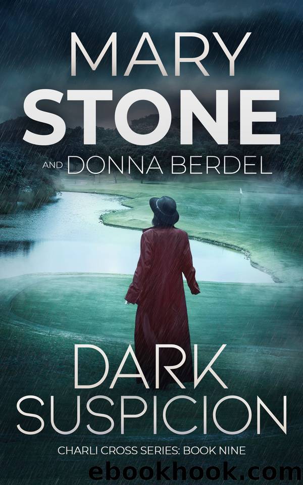 Dark Suspicion by Mary Stone