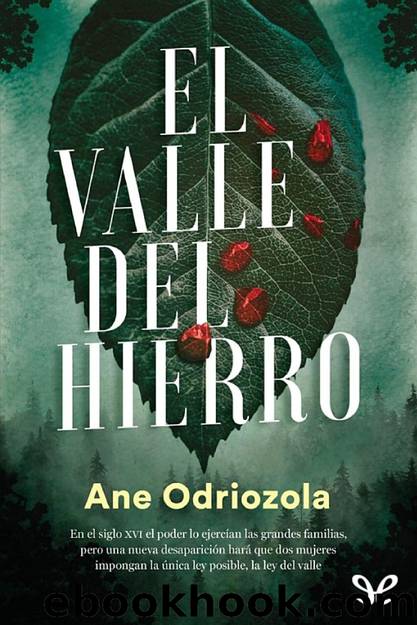 El valle del hierro by Ane Odriozola Cia