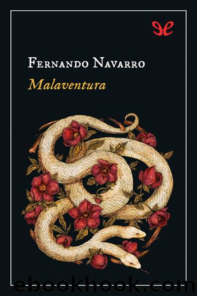 Malaventura by Fernando Navarro