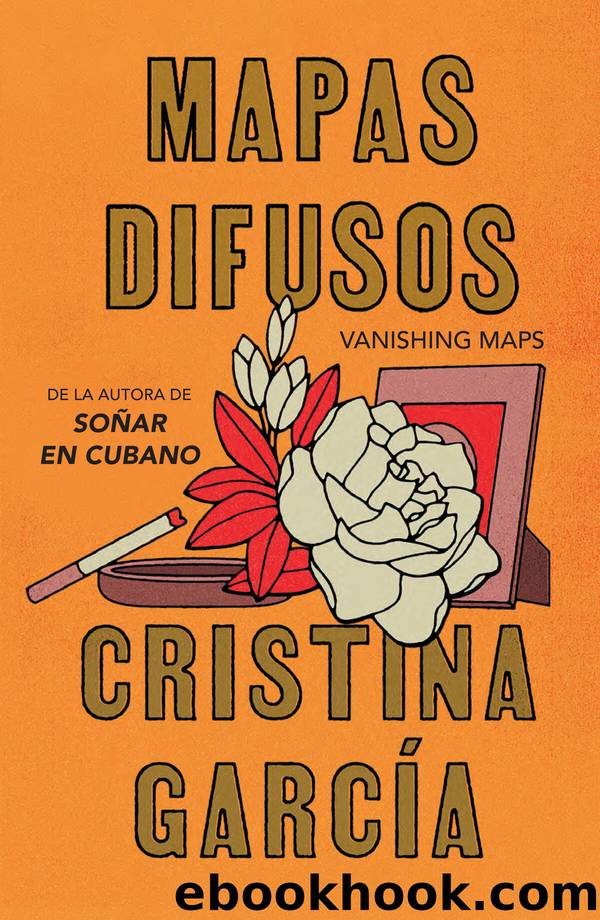 Mapas difusos  Vanishing Maps by Cristina Garcia