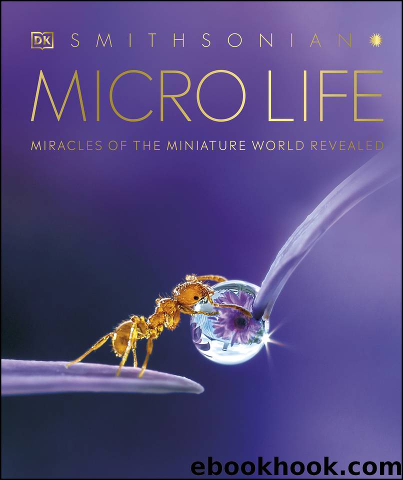 Micro Life by DK