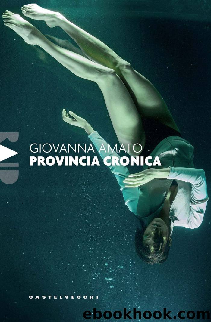 Provincia cronica by Giovanna Amato