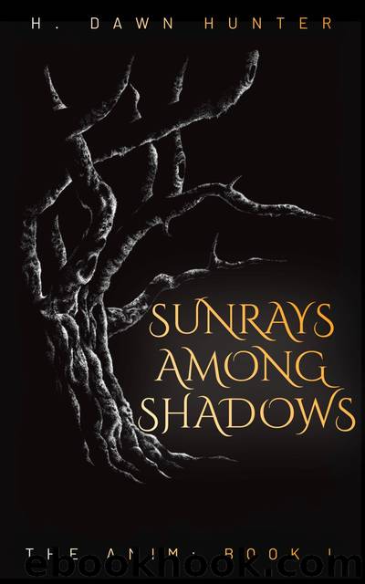 Sunrays Among Shadows by H. Dawn Hunter