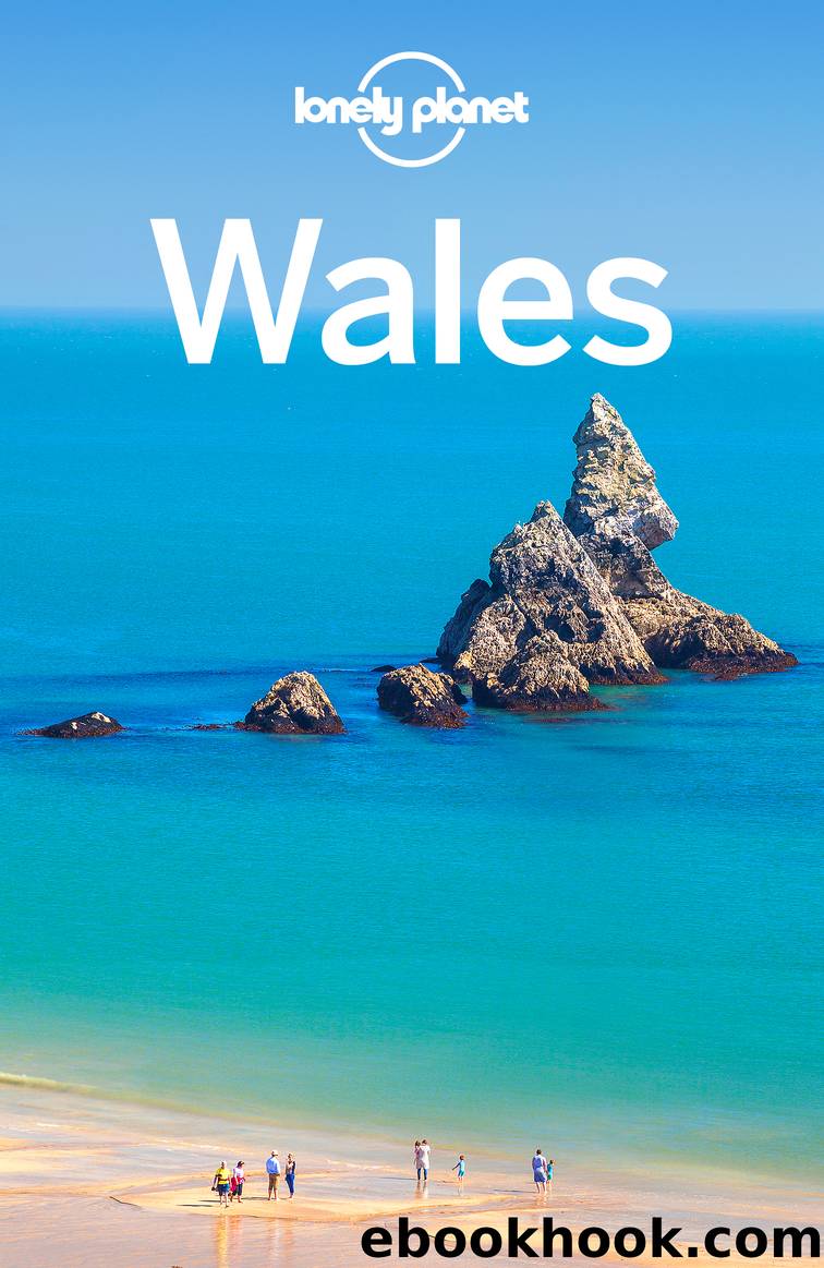 Wales 6 by Lonely Planet