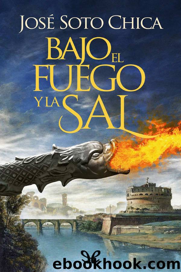 Bajo el fuego y la sal by José Soto Chica