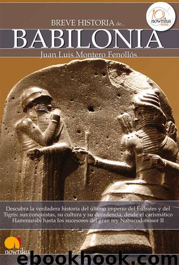 Breve historia de Babilonia (Spanish Edition) by Juan Luis Montero Fenollós