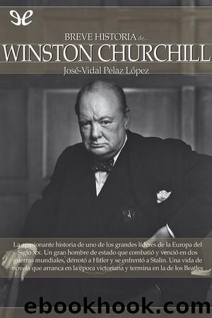 Breve historia de Winston Churchill by José-Vidal Pelaz López
