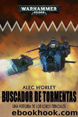 Buscador de Tormentas by Alec Worley