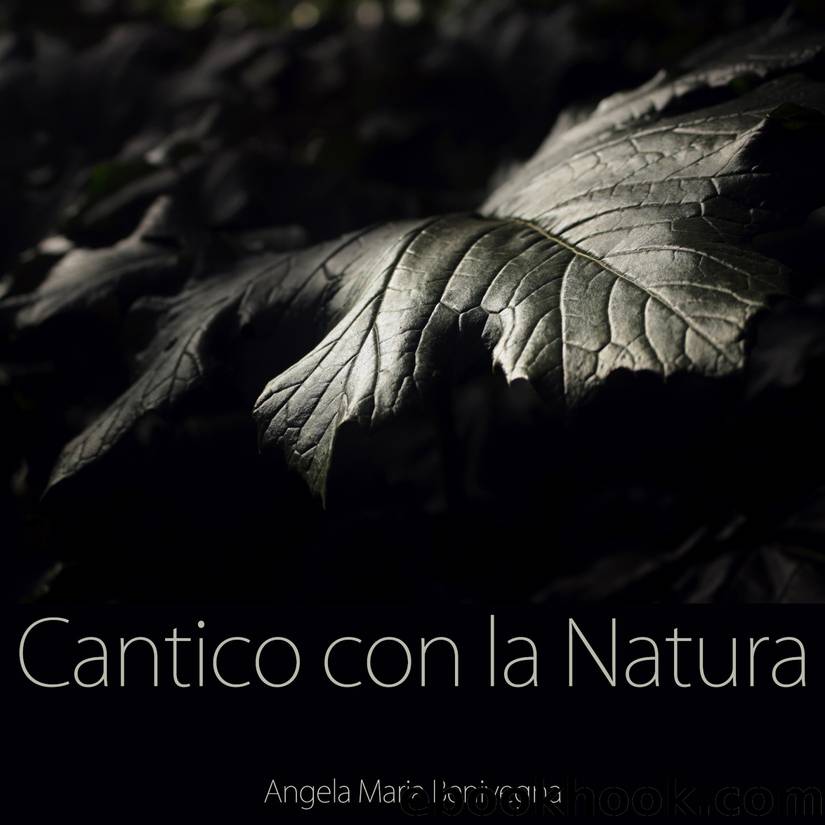 Cantico con la Natura by Angela Maria Benivegna