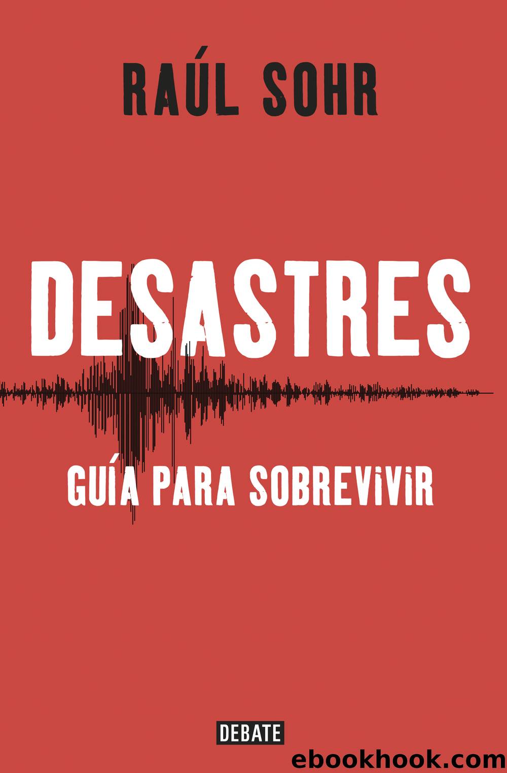 Desastres by Raúl Sohr