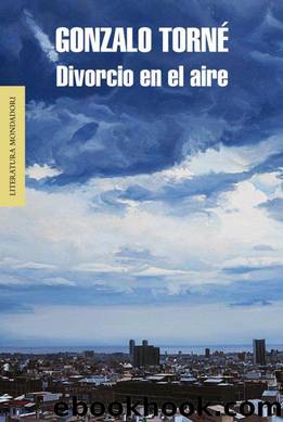 Divorcio en el aire by Gonzalo Torne