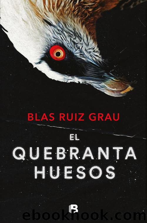 El quebrantahuesos by Blas Ruiz Grau