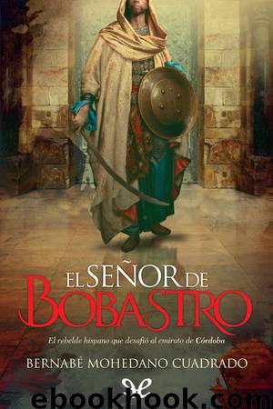 El señor de Bobastro by Bernabé Mohedano Cuadrado