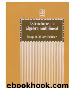 Estructuras de álgebra multilineal by Olivert Pellicer Joaquín