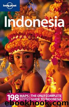 Indonesia by Ryan Ver Berkmoes