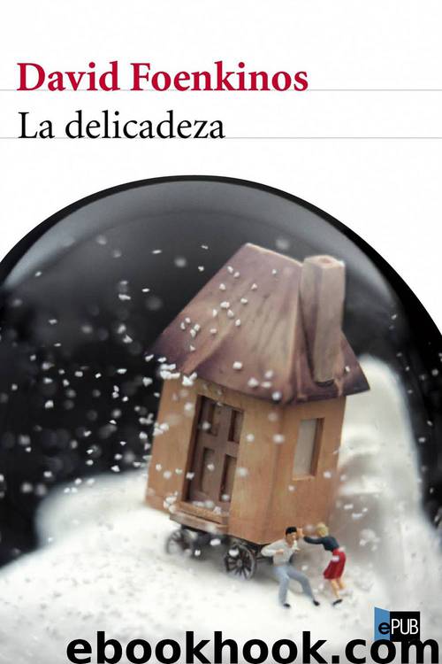 La delicadeza by David Foenkinos