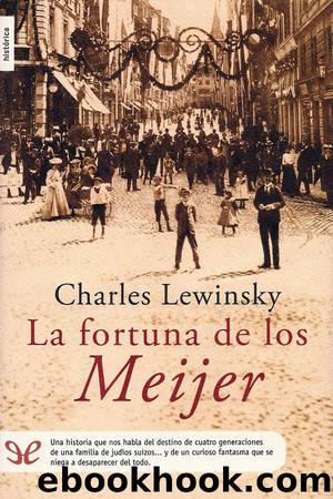 La fortuna de los Meijer by Charles Lewinsky
