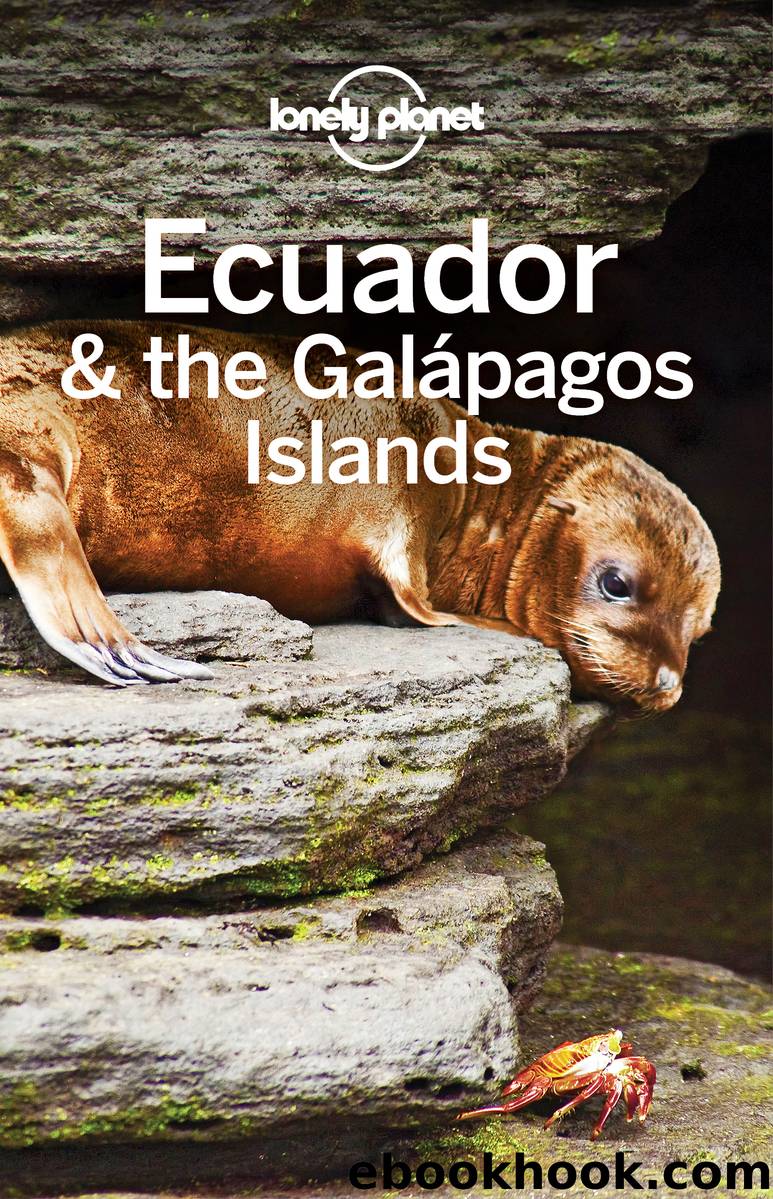 Lonely Planet Ecuador & the GalÃ¡pagos Islands by Lonely Planet