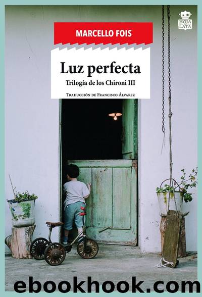 Luz perfecta by Marcello Fois