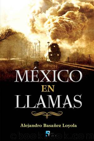 MÃ©xico en llamas by Alejandro Basañez Loyola