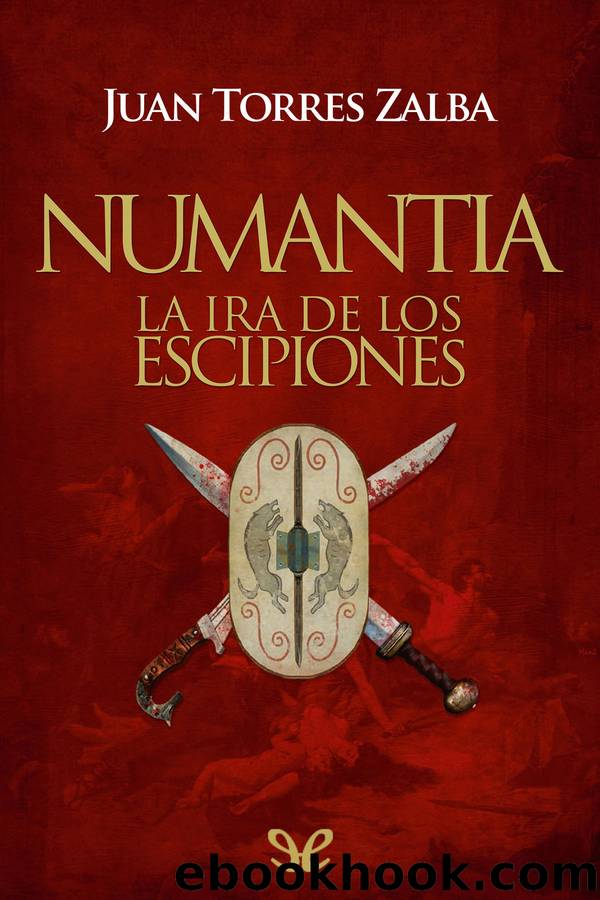Numantia by Juan Torres Zalba