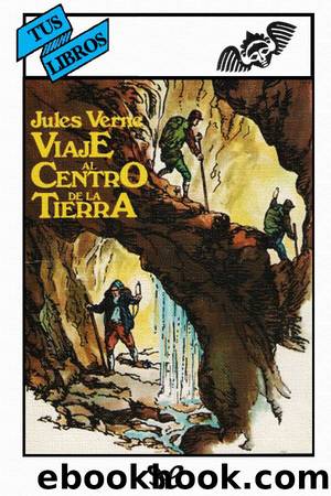 Viaje al centro de la Tierra (ilustrado) by Julio Verne